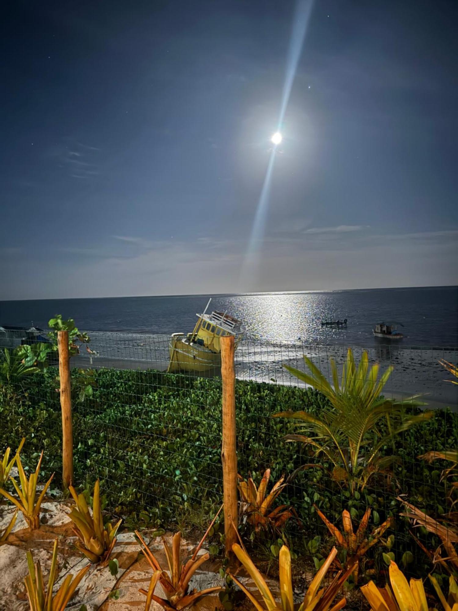 Ocas Pataxo Pe Na Areia * Porto Seguro